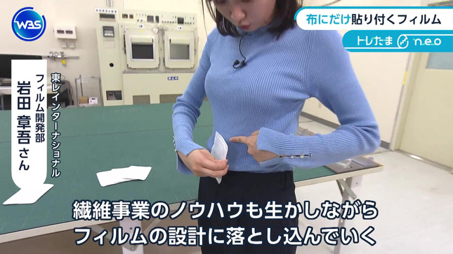 嶺百花 ワールドビジネスサテライト 30