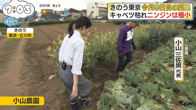 渡邉結衣 ZIP! 9