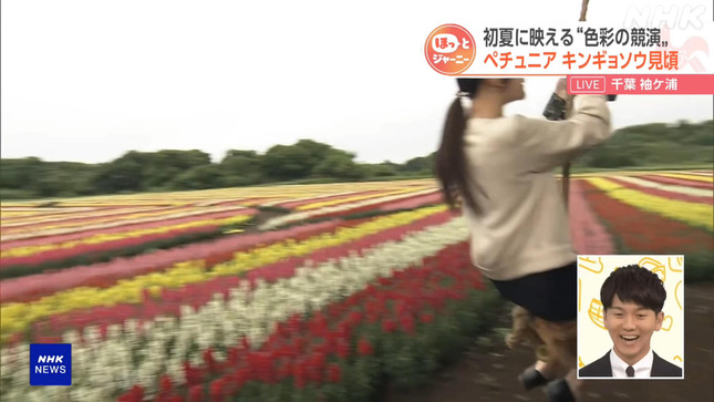 岩﨑果歩 おはよう日本 12
