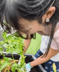 石渡花菜 楽しくアクション!SDGs 20