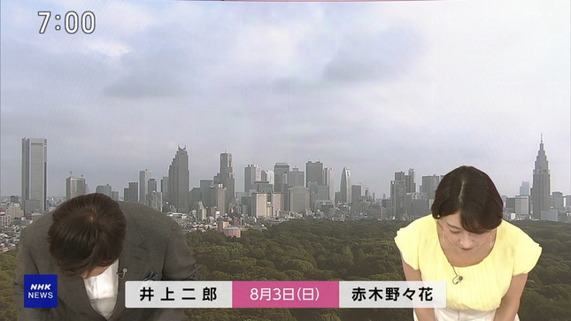 赤木野々花 おはよう日本 NHKニュース 1