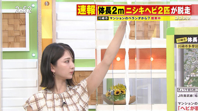 友廣南実アナ　ノースリーブ！！