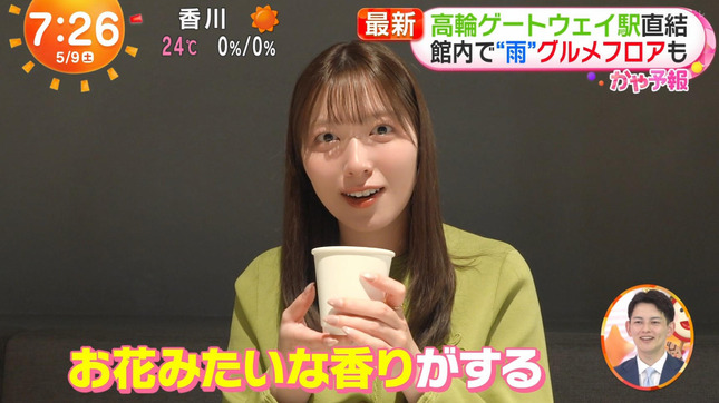 阿部華也子 めざましどようび 4