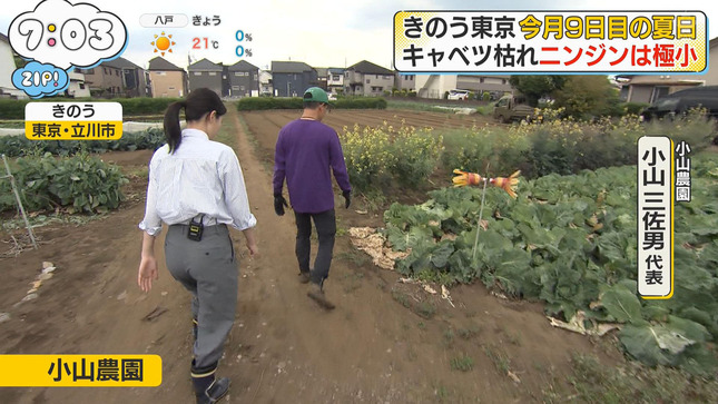 渡邉結衣 ZIP! 7