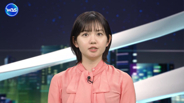 田中瞳 ワールドビジネスサテライト 3