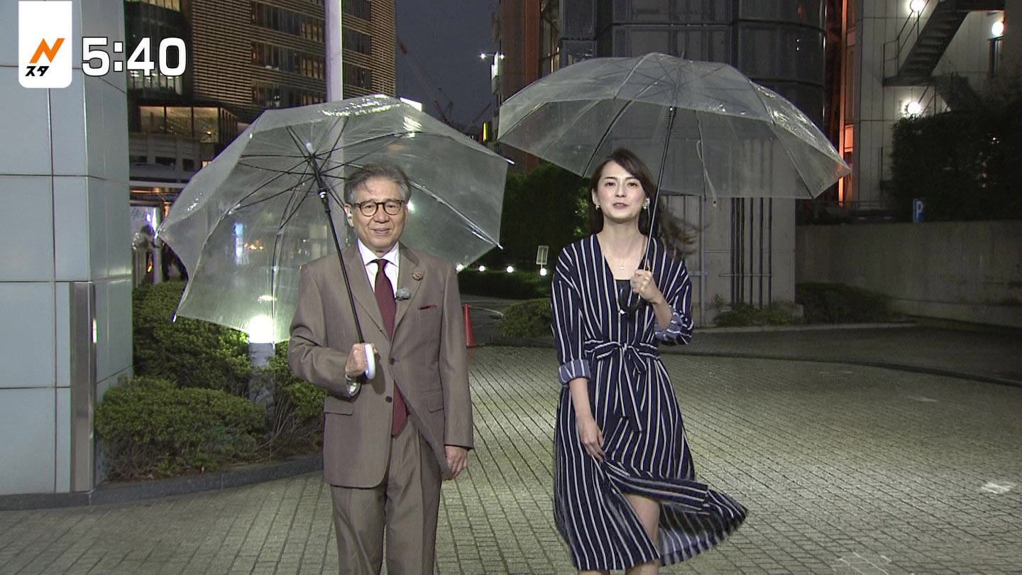 山本えりか乳房