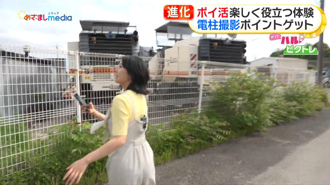 高崎春 めざましテレビ 14