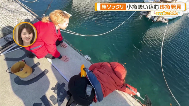 住田紗里 グッド！モーニング 16