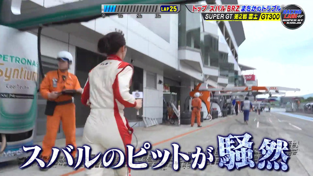嶺百花 RACING LABO 11