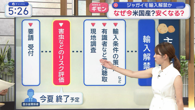 三山賀子アナ　ノースリーブの脇と巨乳！！【GIF動画あり】