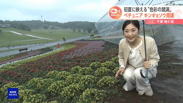 岩﨑果歩 おはよう日本 2