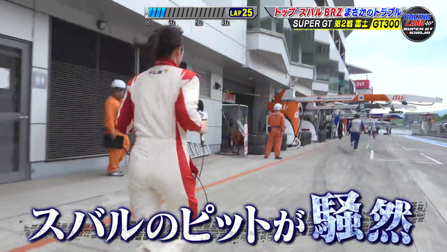 嶺百花 RACING LABO 13