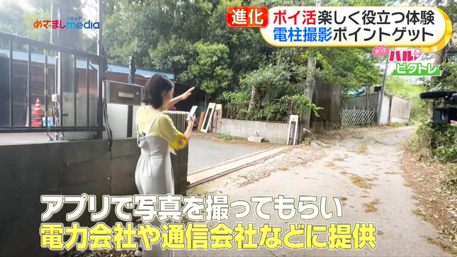 高崎春 めざましテレビ 20