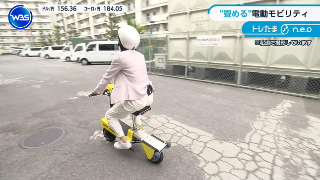 嶺百花 ワールドビジネスサテライト 18