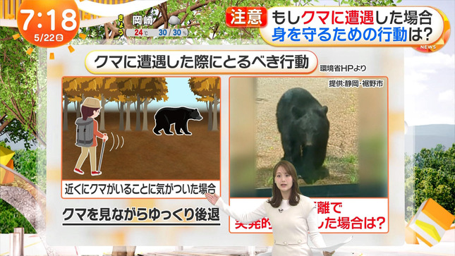井上清華 めざましテレビ 13