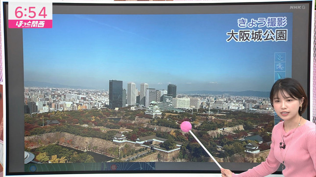 前川夏生 ニュースほっと関西 2