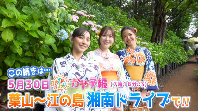 浅倉美恩 めざましテレビチャンネル 14