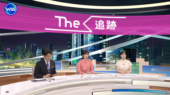 田中瞳 ワールドビジネスサテライト 10