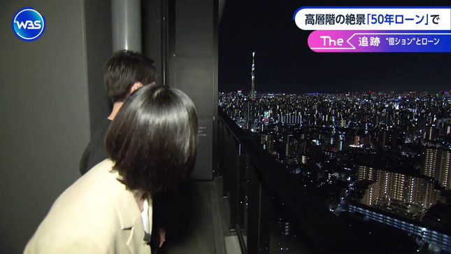 田中瞳 ワールドビジネスサテライト 11