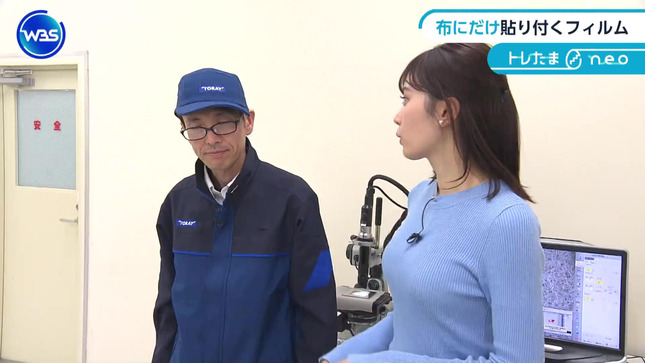 嶺百花 ワールドビジネスサテライト 13