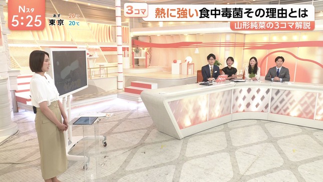 山形純菜 Nスタ 4