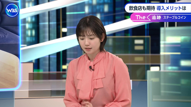 田中瞳 ワールドビジネスサテライト 18