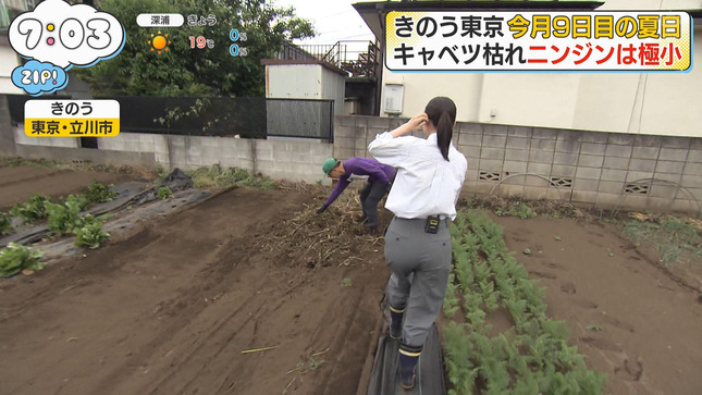 渡邉結衣 ZIP! 10