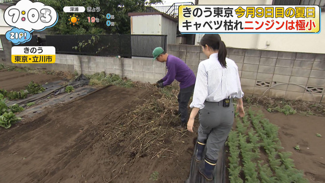 渡邉結衣 ZIP! 12