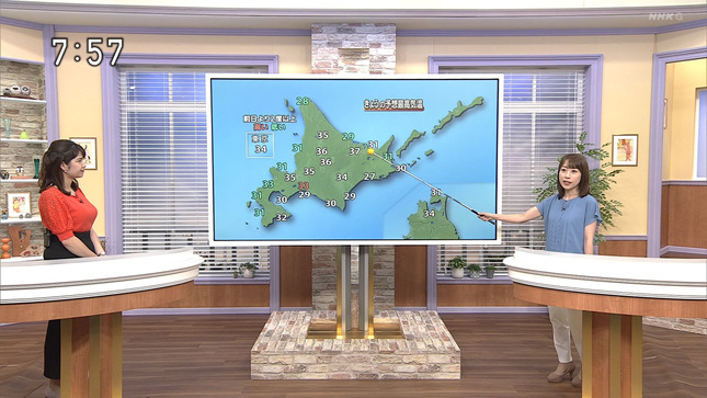 飯尾夏帆 NHKニュースおはよう北海道 ニュース北海道645 9