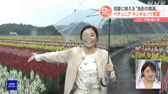 岩﨑果歩 おはよう日本 4