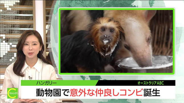 川口由梨香 キャッチ！世界のトップニュース 5