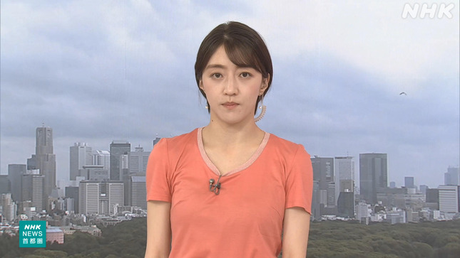 赤木野々花 おはよう日本 NHKニュース 14