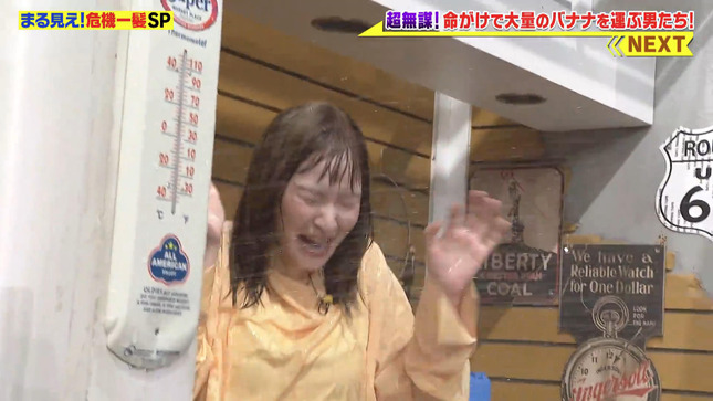 岩田絵里奈 世界まる見え！テレビ特捜部 4