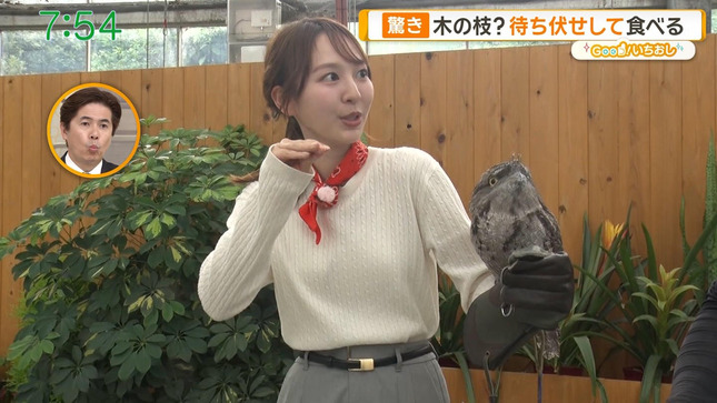 佐々木若葉 グッド！モーニング 18