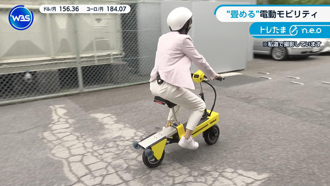 嶺百花 ワールドビジネスサテライト 22