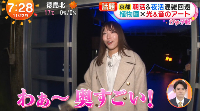 阿部華也子 めざましどようび 6