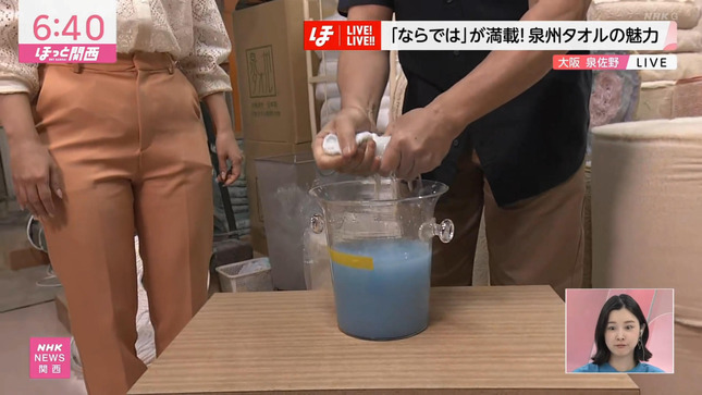 上岡梨紗 ニュースほっと関西 6
