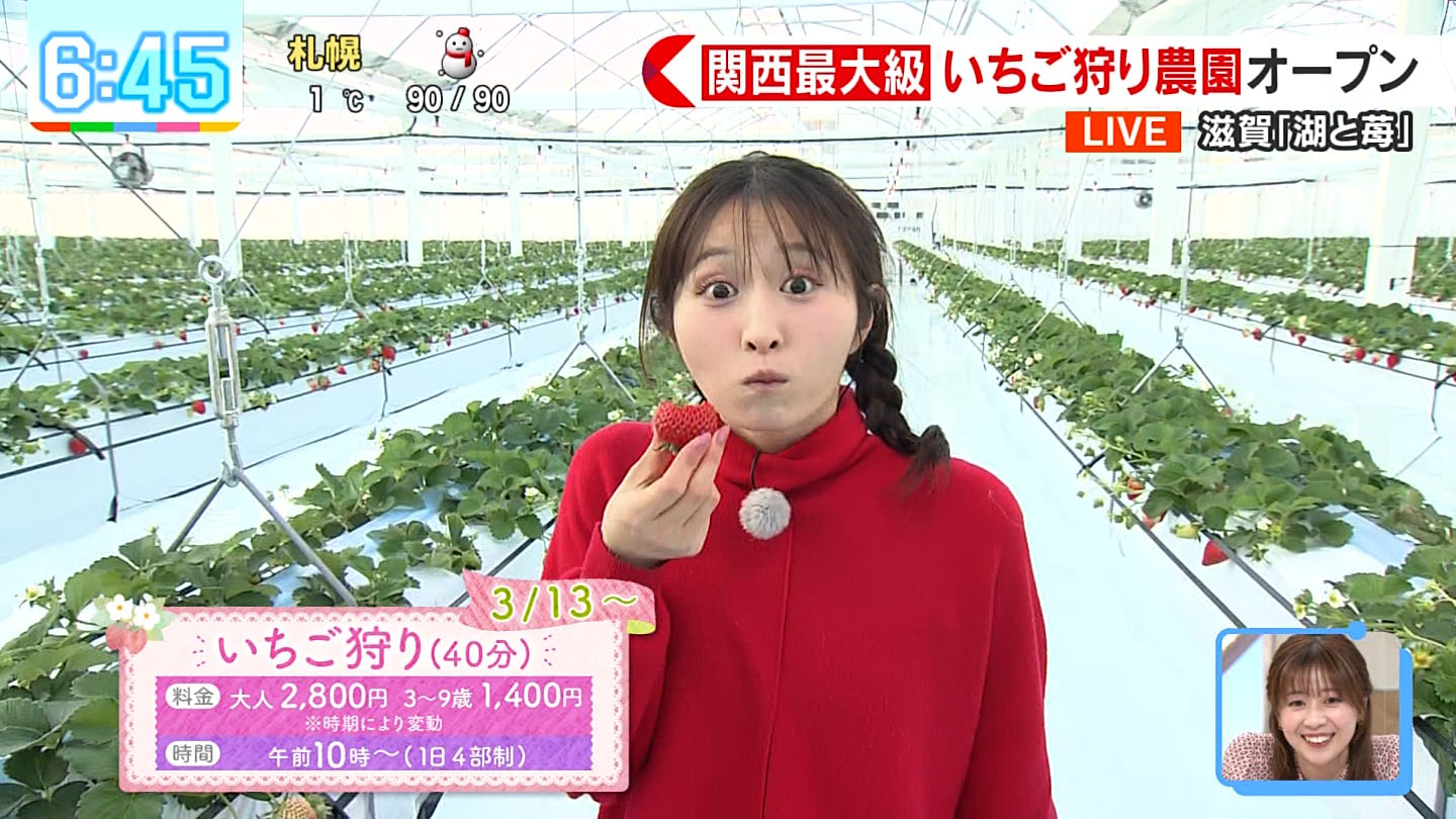 苺ゆい ポロリ 佐藤佳奈アナ いちご狩りレポート！ : アナきゃぷ速報