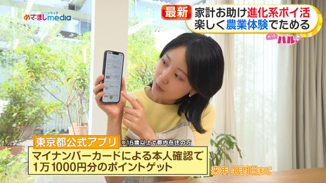 高崎春 めざましテレビ 3