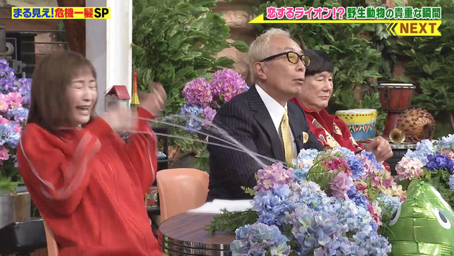 岩田絵里奈 世界まる見え！テレビ特捜部 11