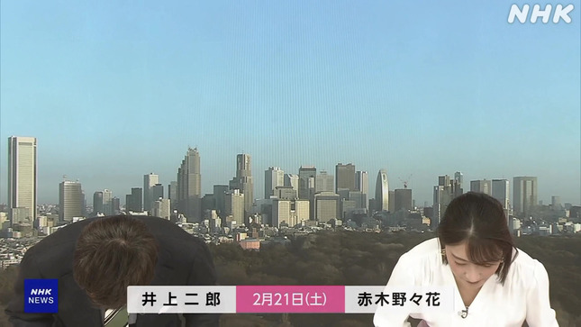 赤木野々花アナ　おはよう日本【GIF動画あり】