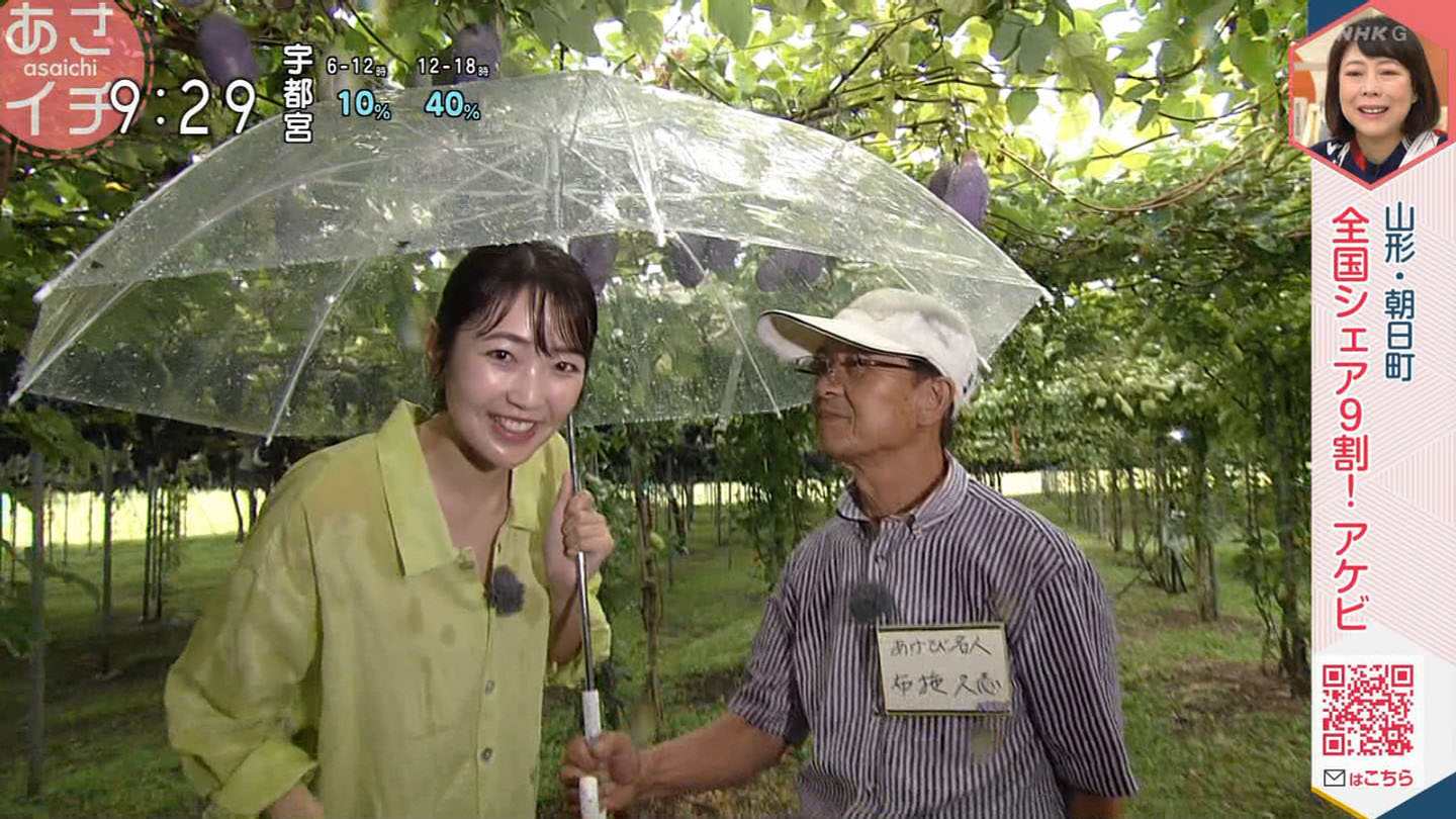 女子アナ 　透けブラウス 岩﨑果歩アナ 雨で濡れてブラウスが透け透け生中継！！ : アナきゃぷ速報