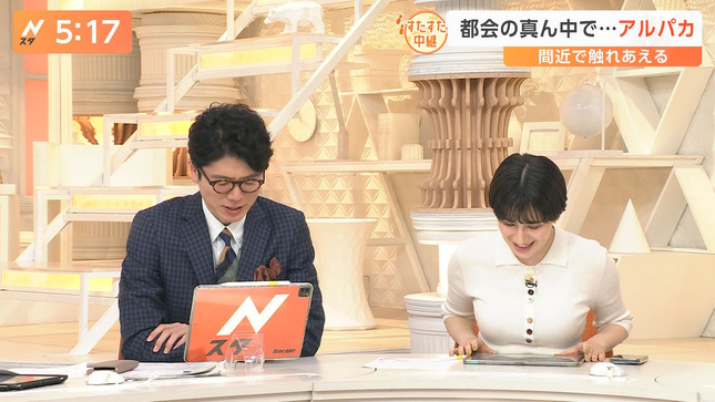 ホラン千秋 Nスタ 6