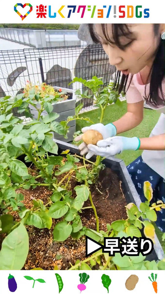 石渡花菜 楽しくアクション!SDGs 9