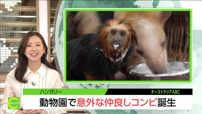 川口由梨香 キャッチ！世界のトップニュース 4