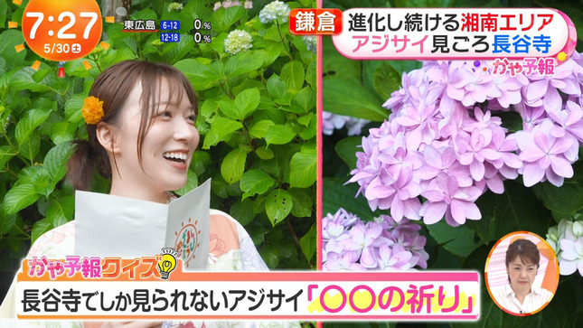 阿部華也子 めざましどようび 12