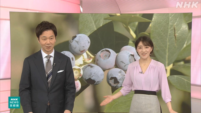 赤木野々花 おはよう日本 11