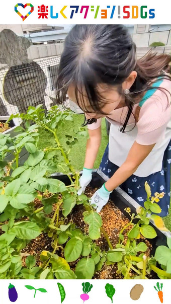 石渡花菜 楽しくアクション!SDGs 4