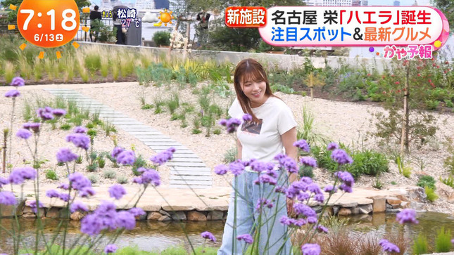 阿部華也子 めざましどようび 6