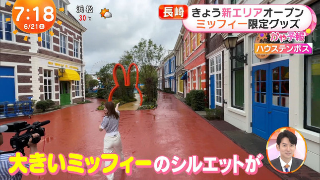 阿部華也子 めざましどようび 10